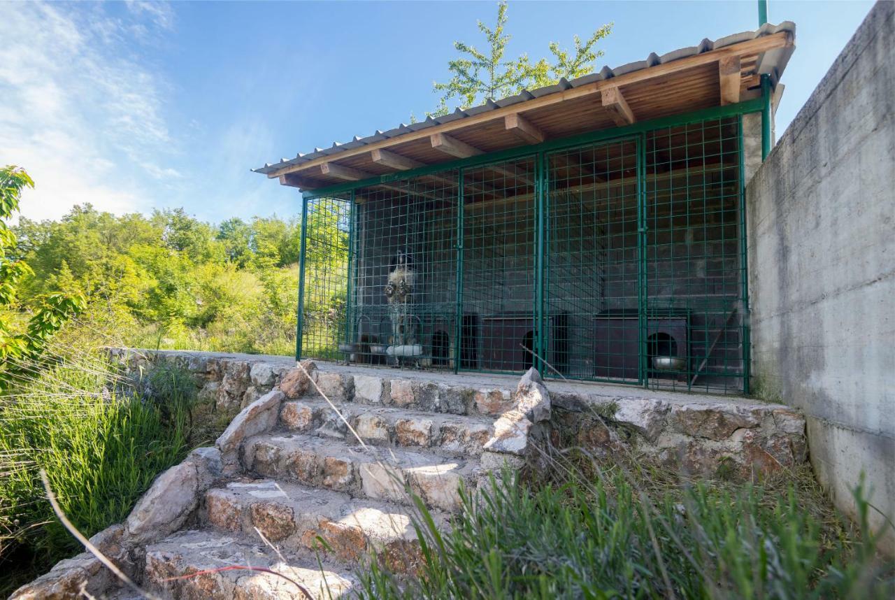 Rooms Marijana Caporice Exterior photo